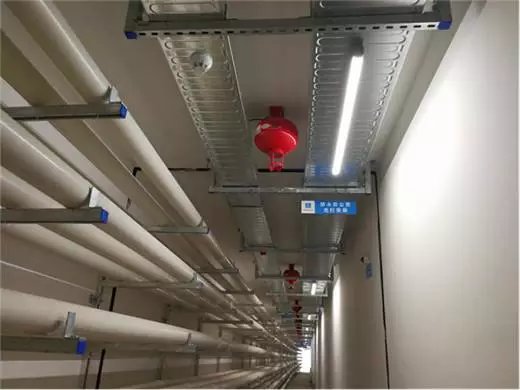 金狮贵宾会·宾至如归-尊贵显赫