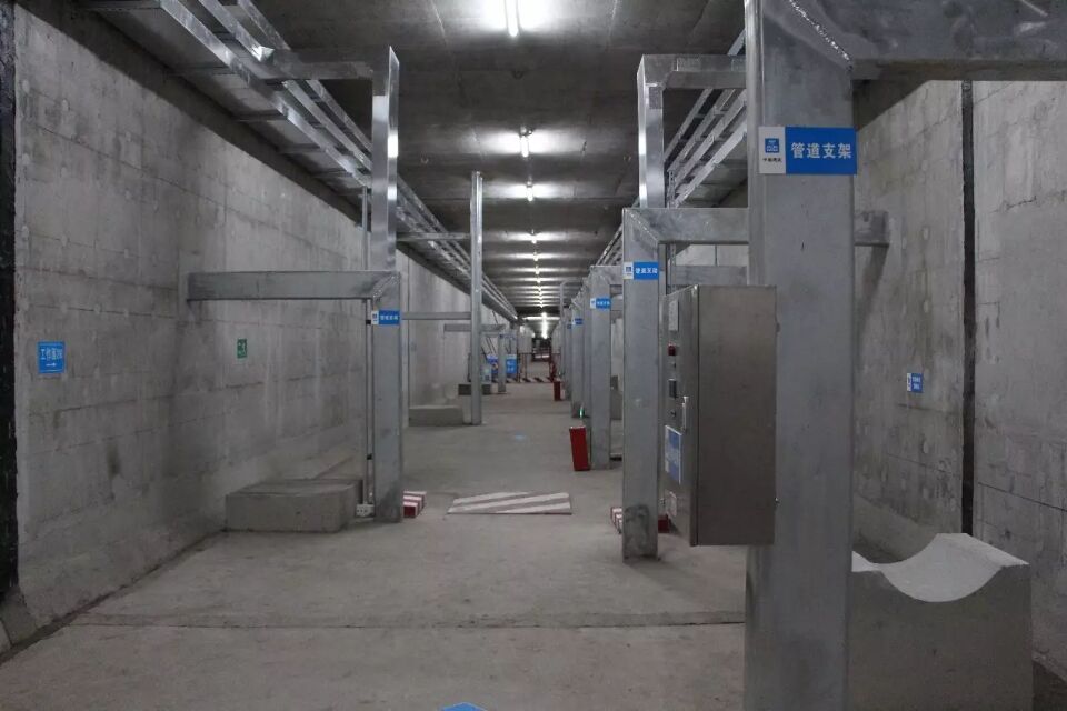 金狮贵宾会·宾至如归-尊贵显赫